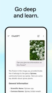 ChatGPT Premium MOD APK Latest Version 4